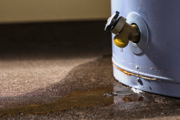 Best 24/7 water damage repair  in Watford City, ND