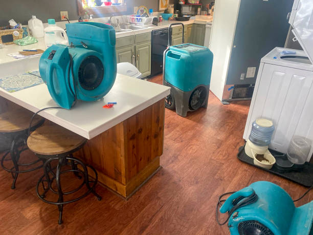 Best Professional water damage repair  in Watford City, ND