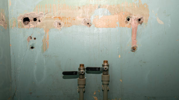 Best Water damage restoration near me  in Watford City, ND