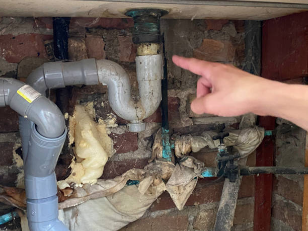 Best Water damage restoration near me  in Watford City, ND