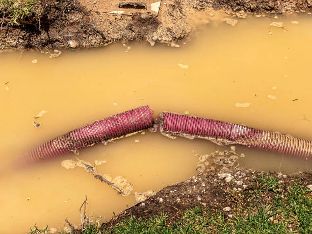 Best Flooded house restoration  in Watford City, ND