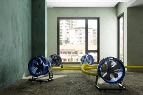 Best Water damage contractors near me  in Watford City, ND